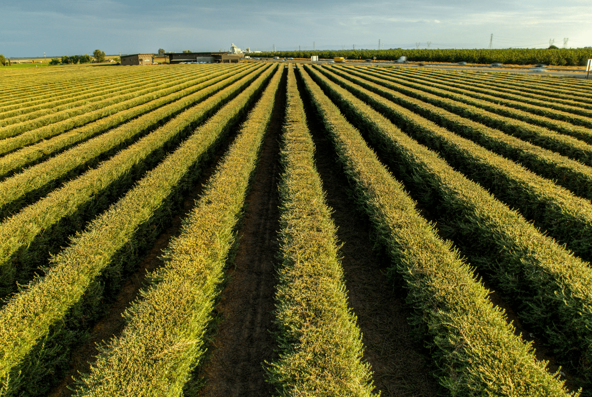 Agriculture industrial sand and minerals 240726