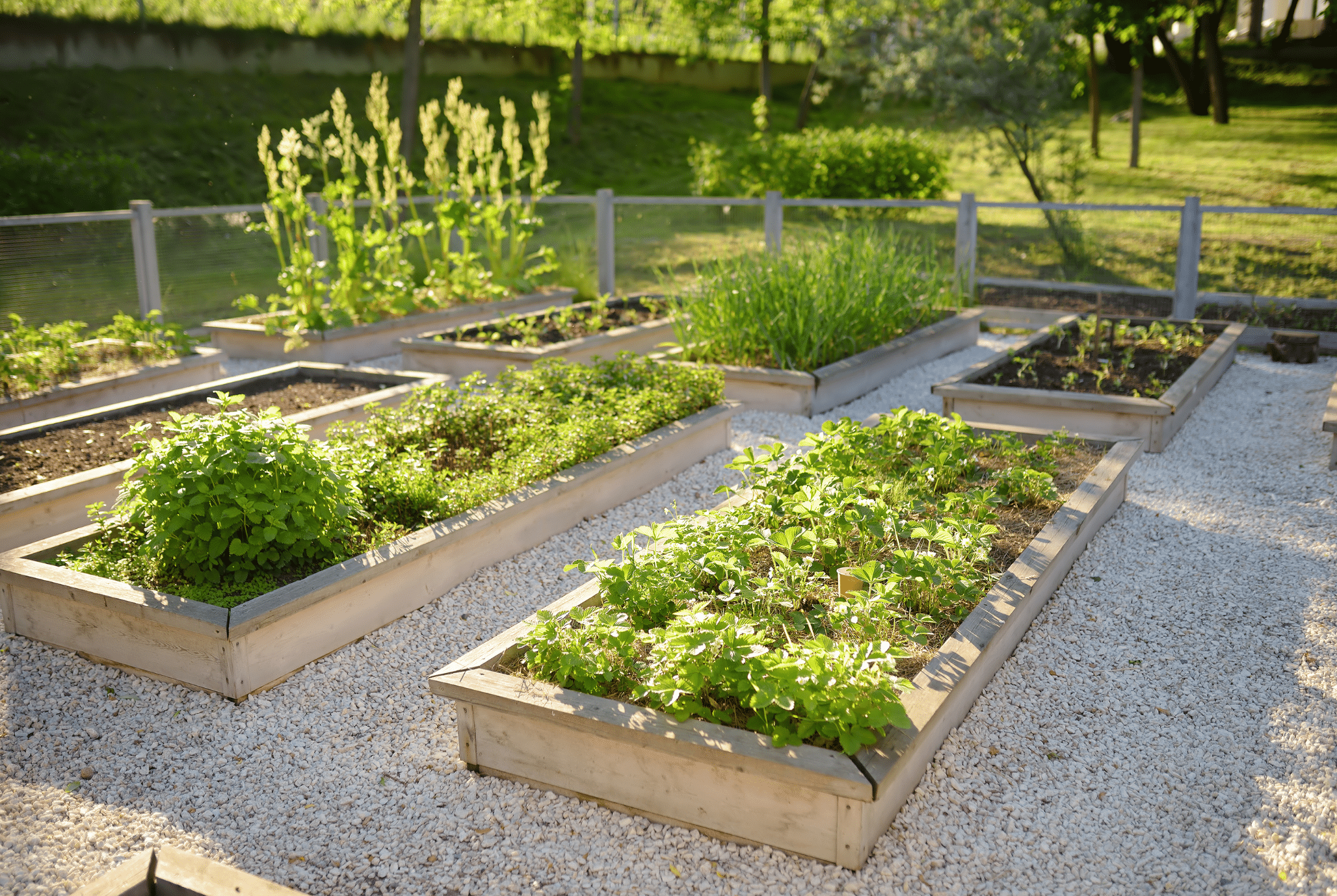 Garden Beds