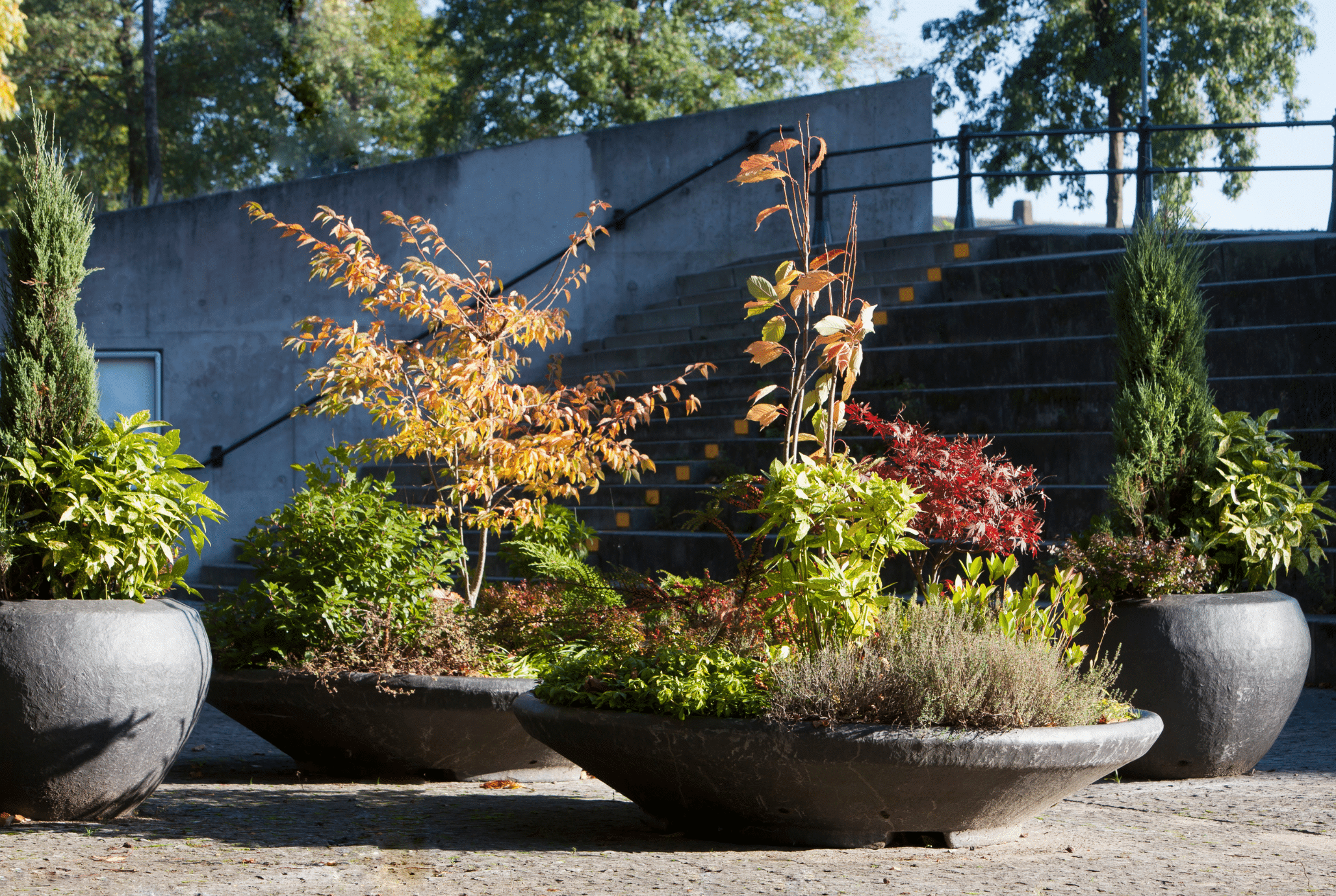 Planters